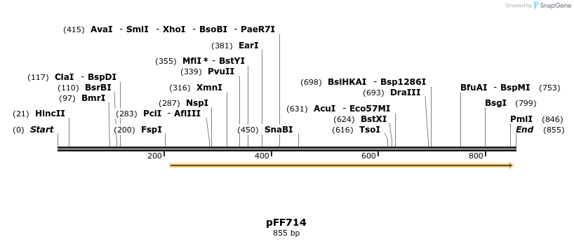 100976_map