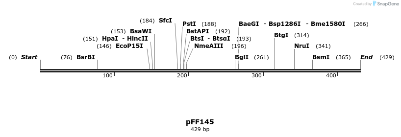 100985_map