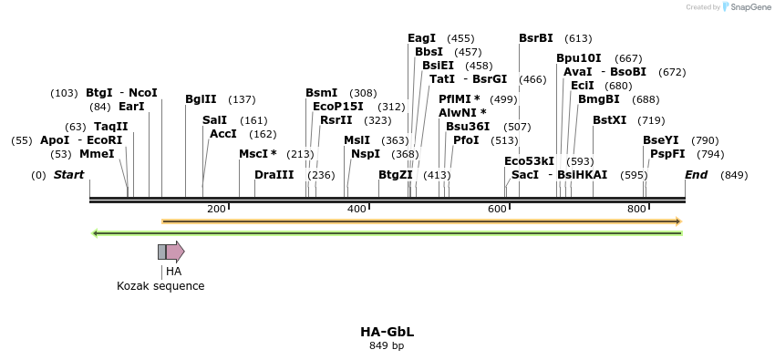 100992_map