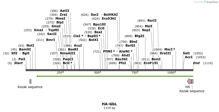 100993_map