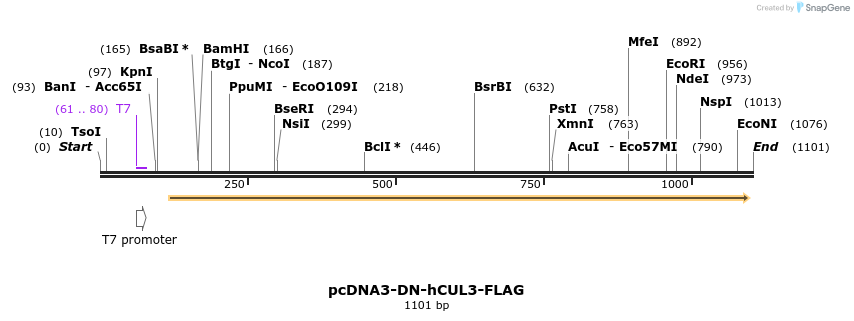100994_map