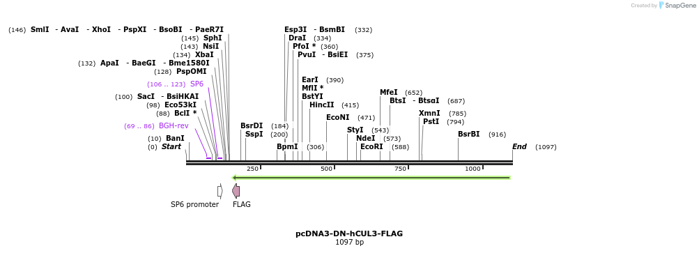 100995_map