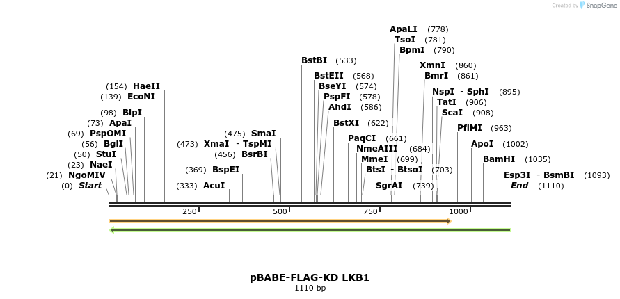 100997_map