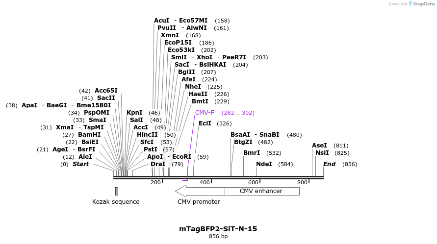 101005_map