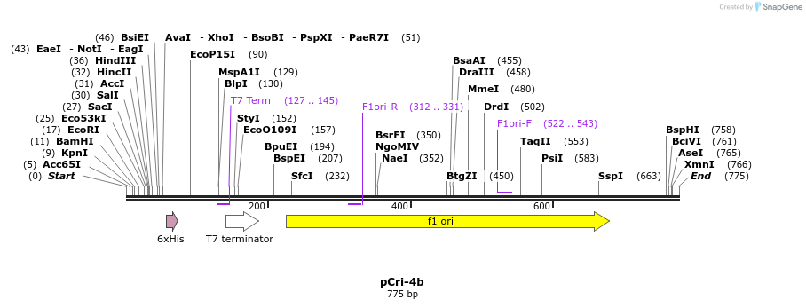 101013_map