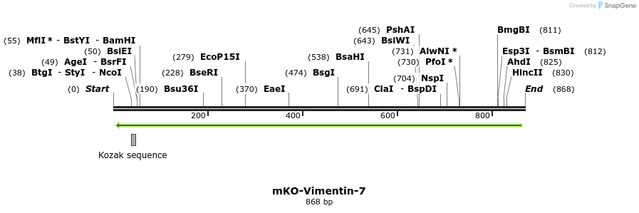 101015_map