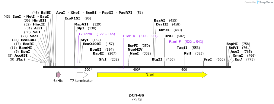 101016_map