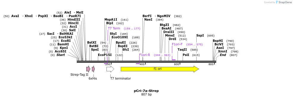 101031_map