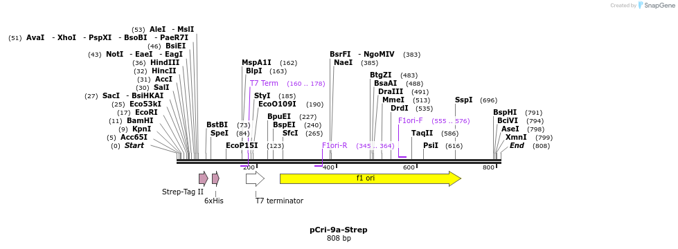101033_map