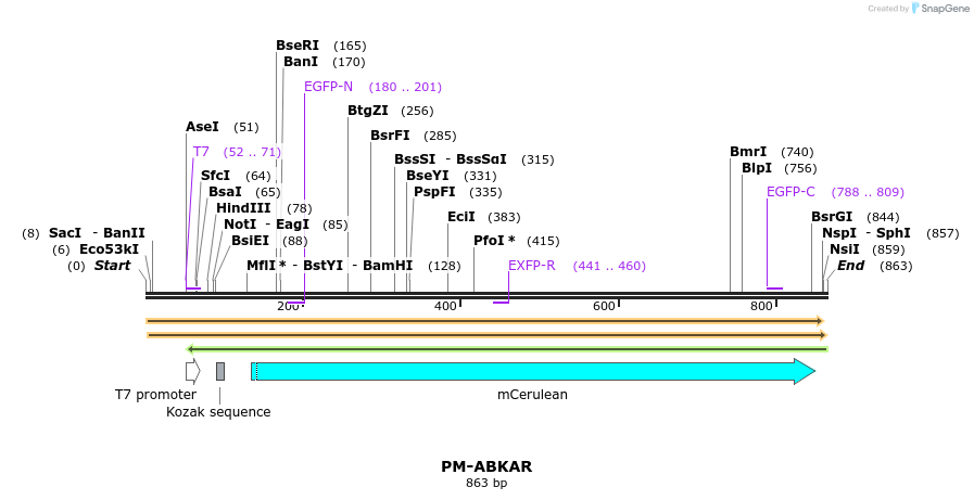 101034_map