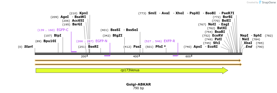 101037_map