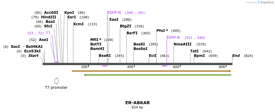 101038_map