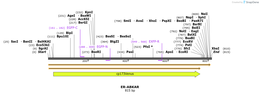 101039_map