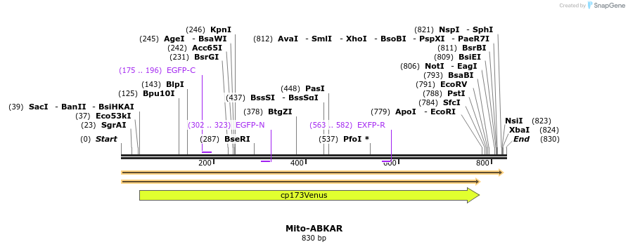 101041_map