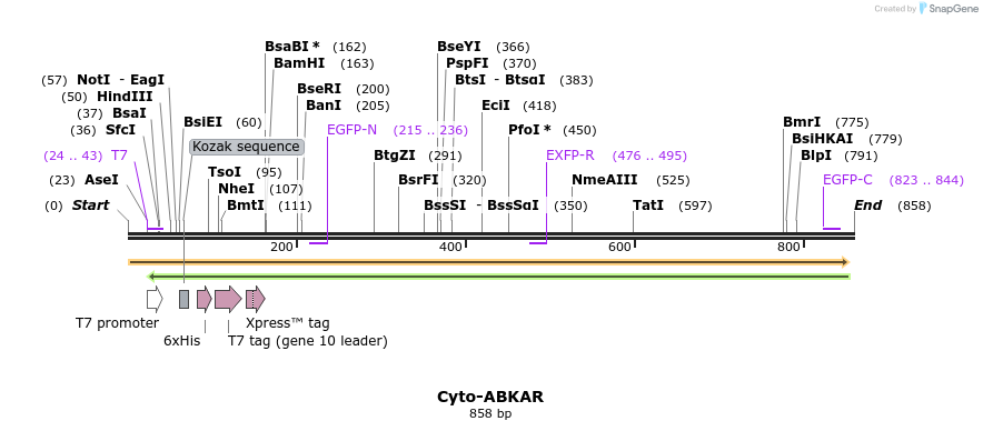 101042_map