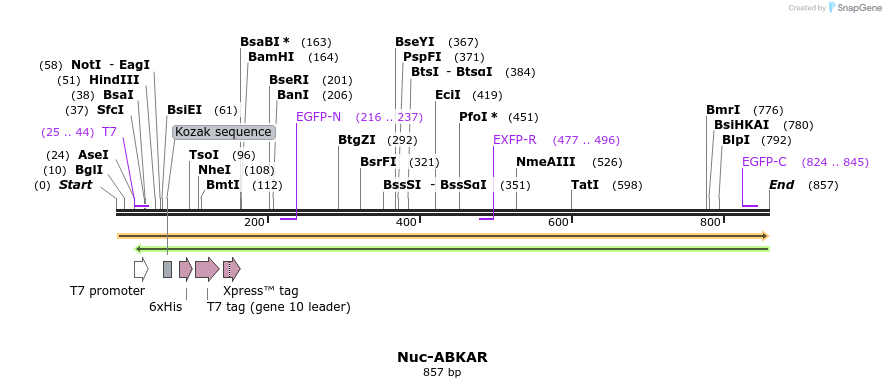 101044_map