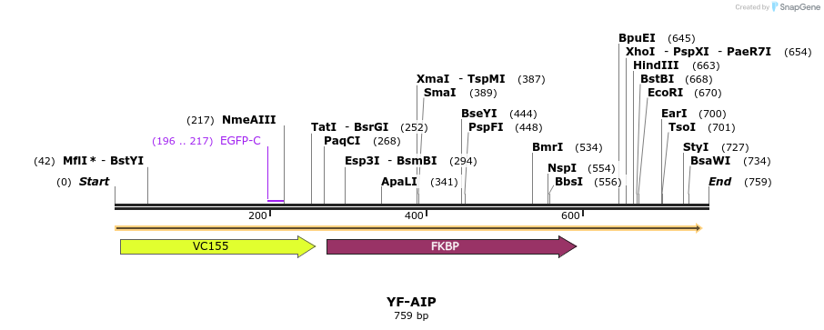 101047_map