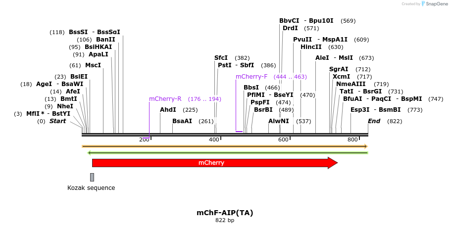 101050_map