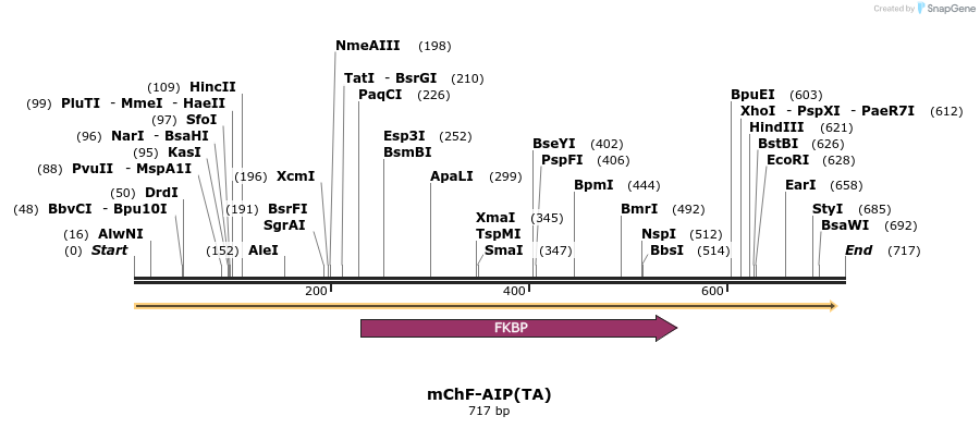 101053_map
