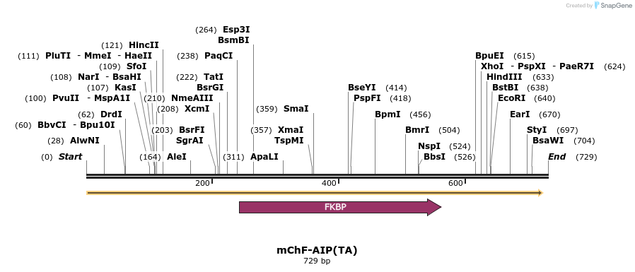 101055_map