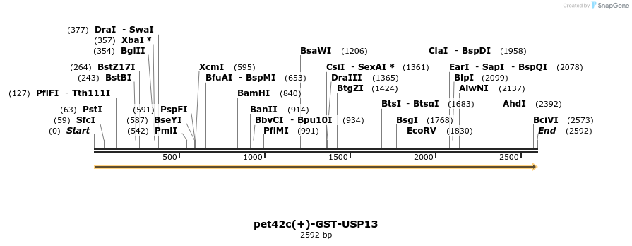 101061_map