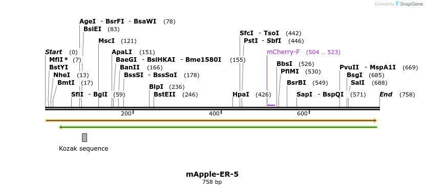 101062_map