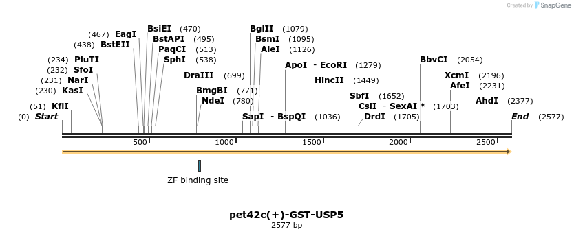 101063_map