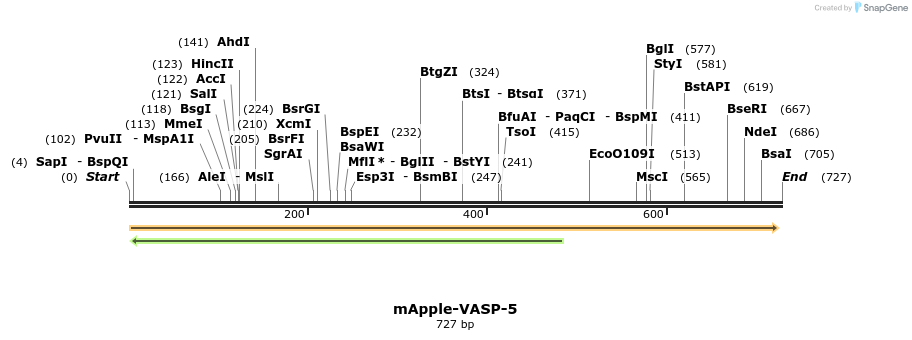 101064_map