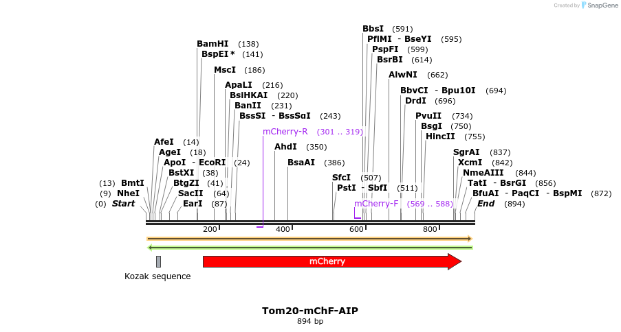 101066_map