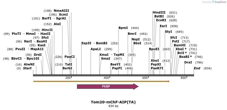 101070_map