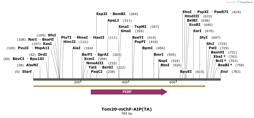 101071_map