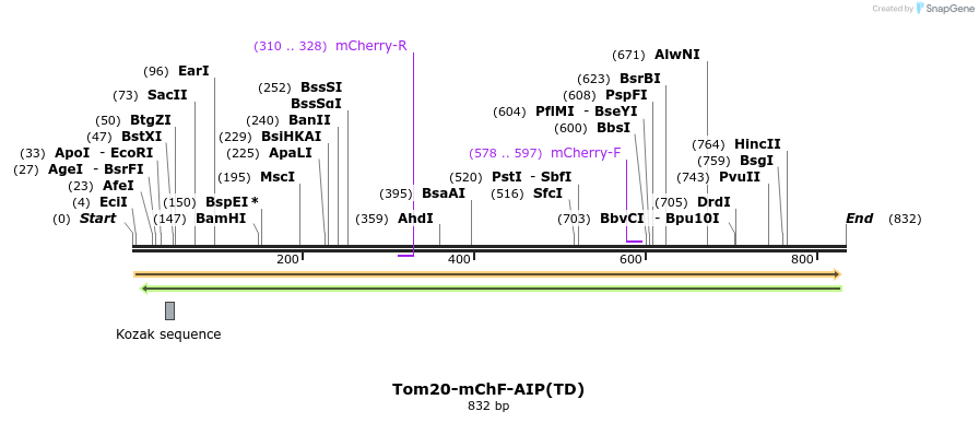 101072_map
