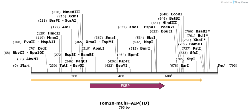 101075_map
