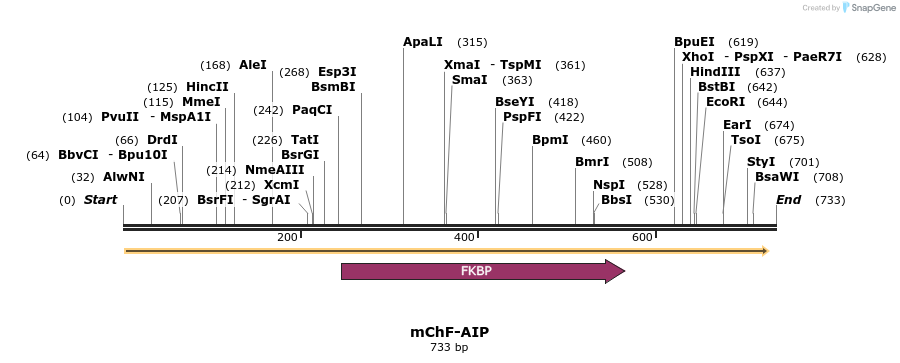 101080_map