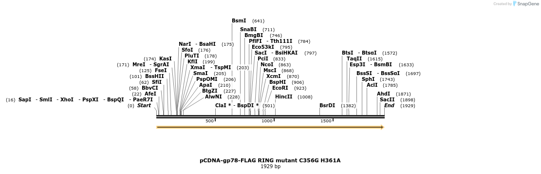 101087_map