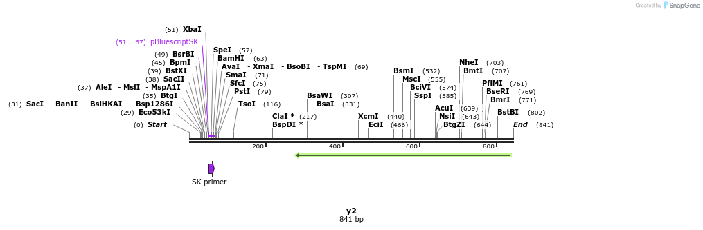 101089_map