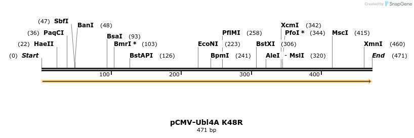101092_map