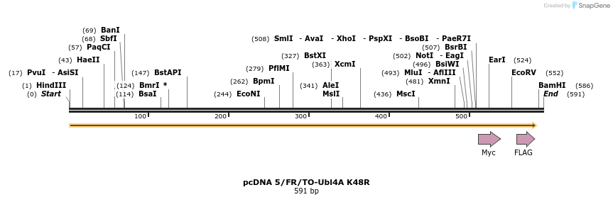 101099_map