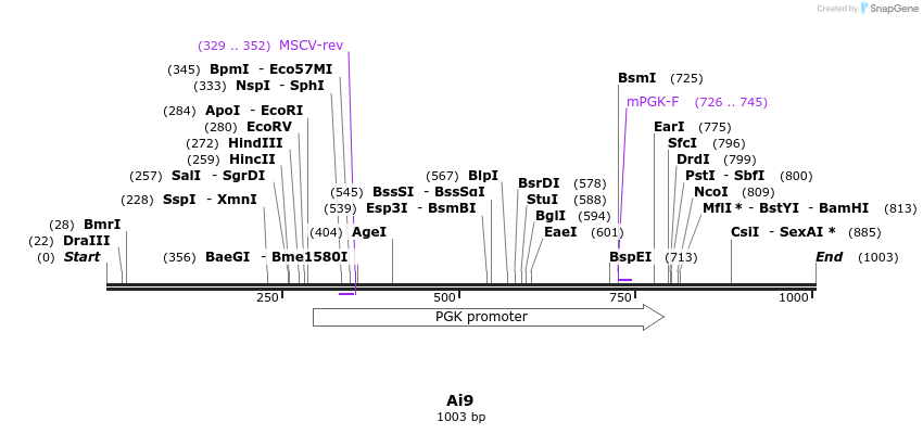101102_map