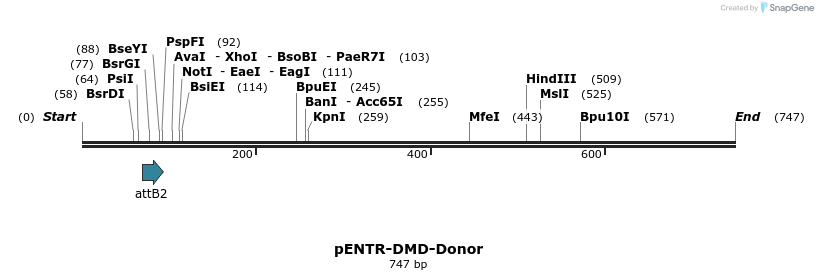 101103_map