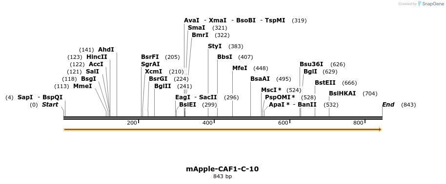 101104_map