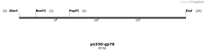 101105_map