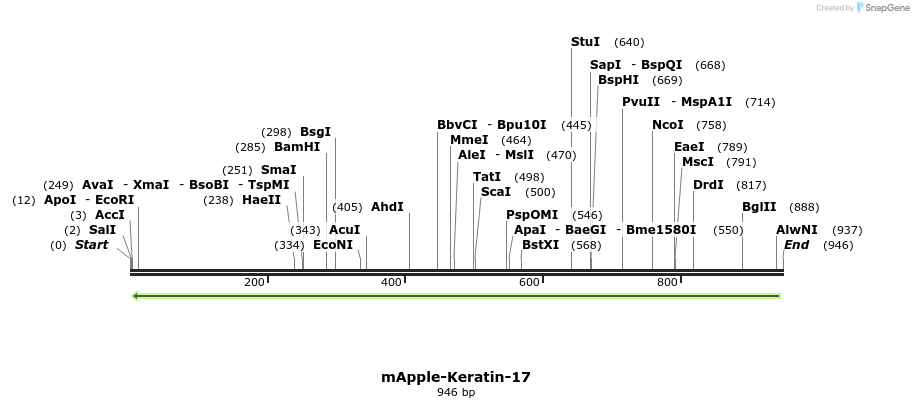 101106_map