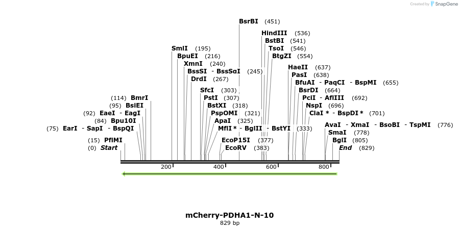 101107_map