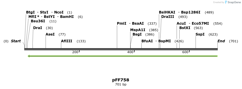 101108_map