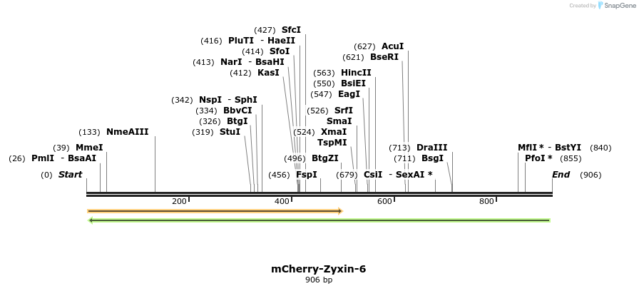 101109_map