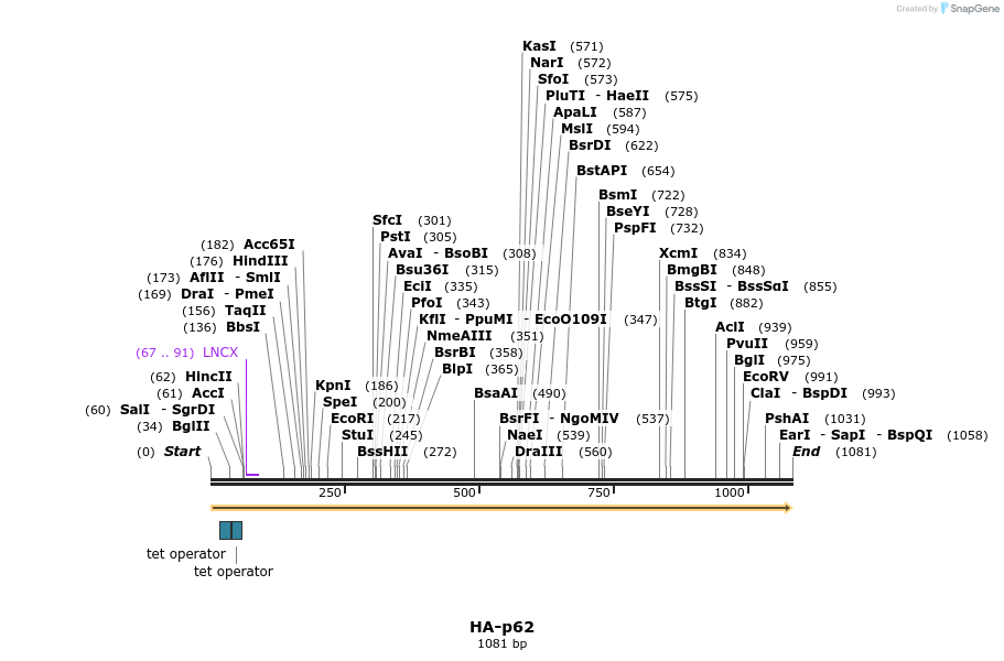 101115_map