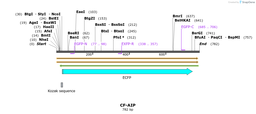 101128_map