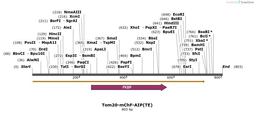 101133_map