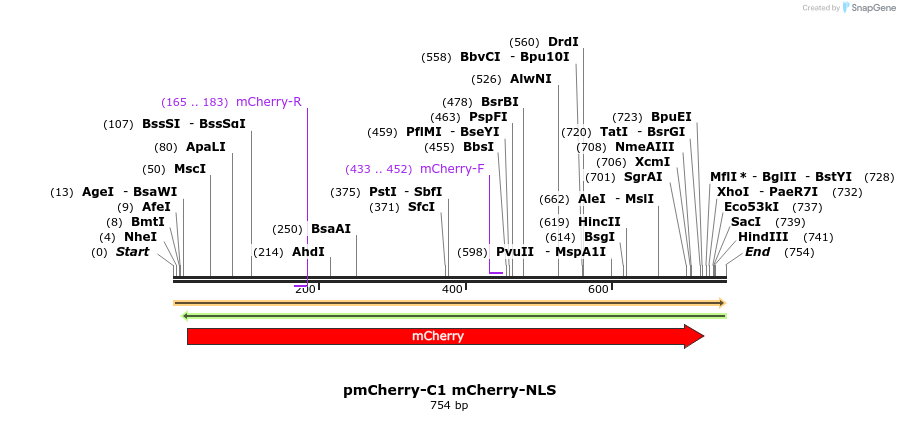 101141_map